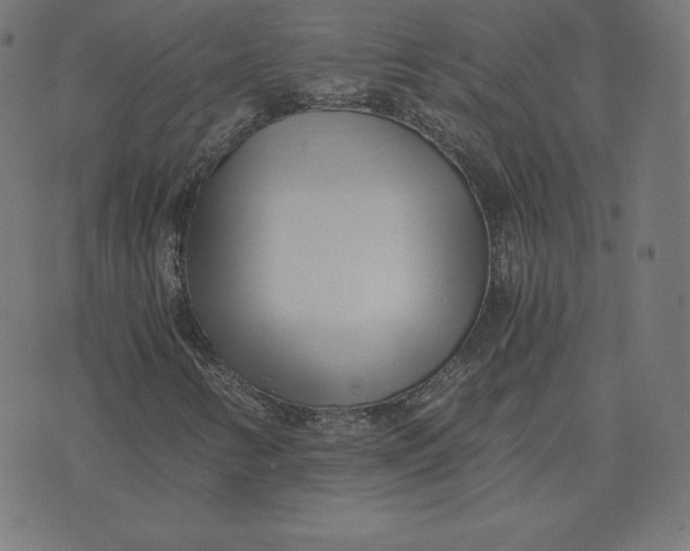 X0000073511346200608211729