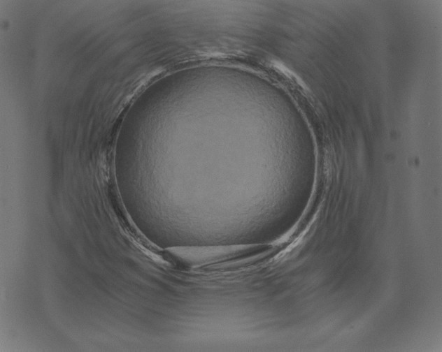 X0000073511353200608211729