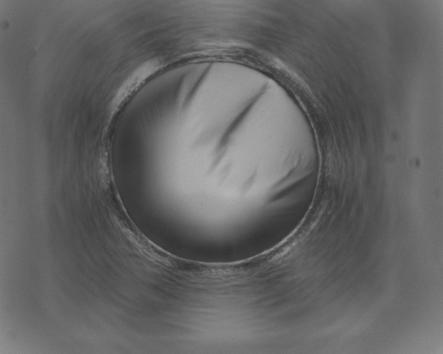 X0000073511362200608211729
