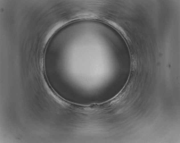 X0000073511383200608211729