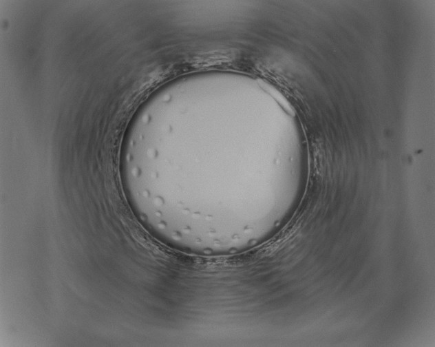 X0000073511393200608211728