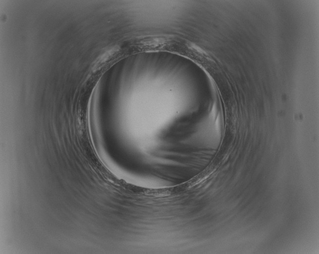 X0000073511394200608211728