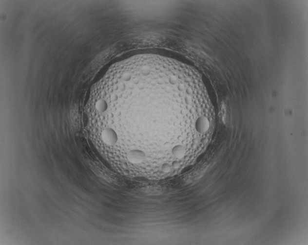 X0000073511395200608211728