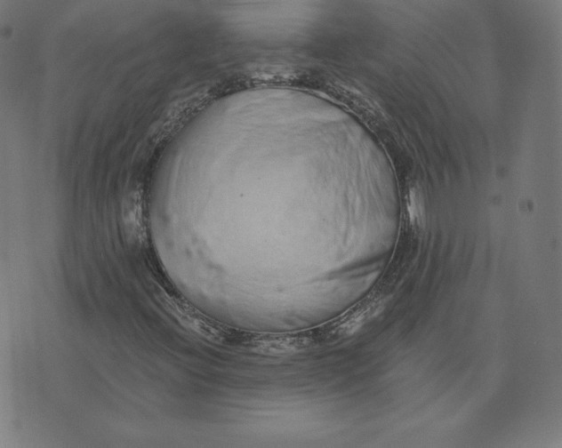 X0000073511396200608211728