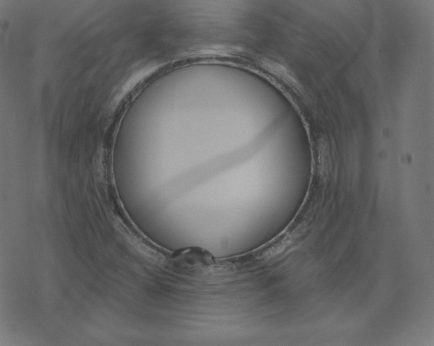 X0000073511404200608211728