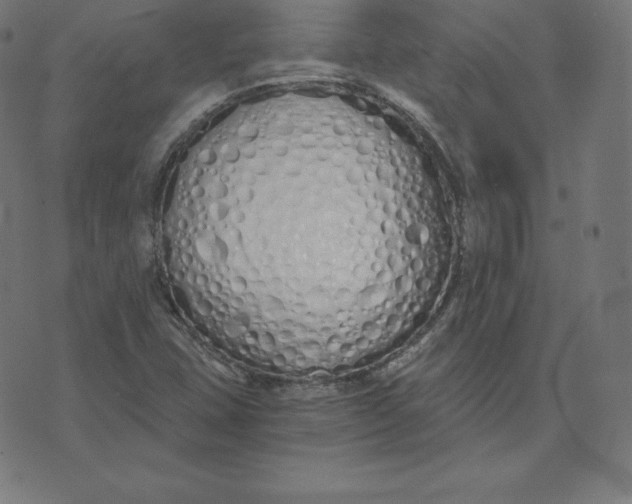 X0000073511407200608211728