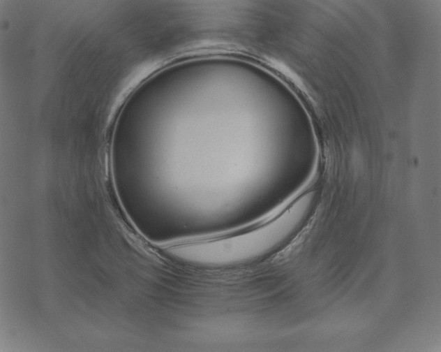X0000073511413200608211728