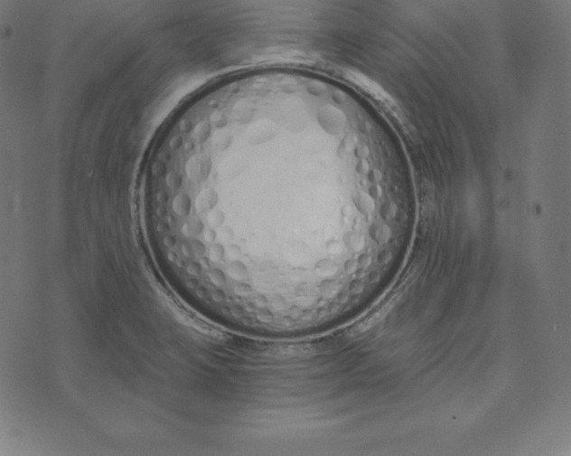 X0000073511423200608211728