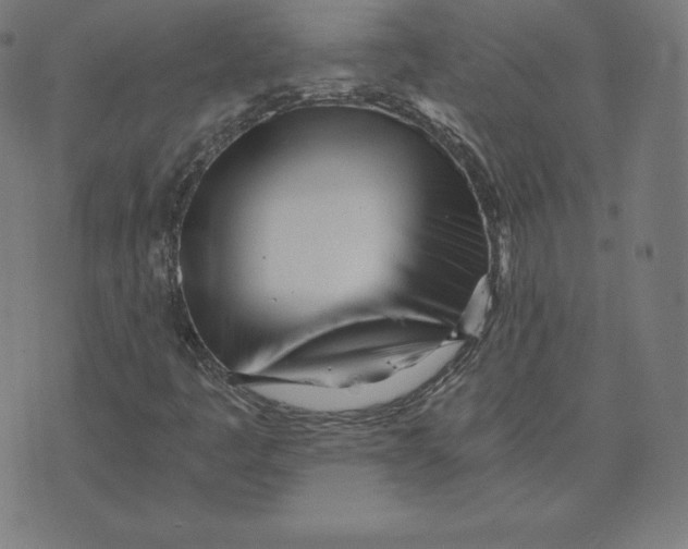 X0000073511445200608211728