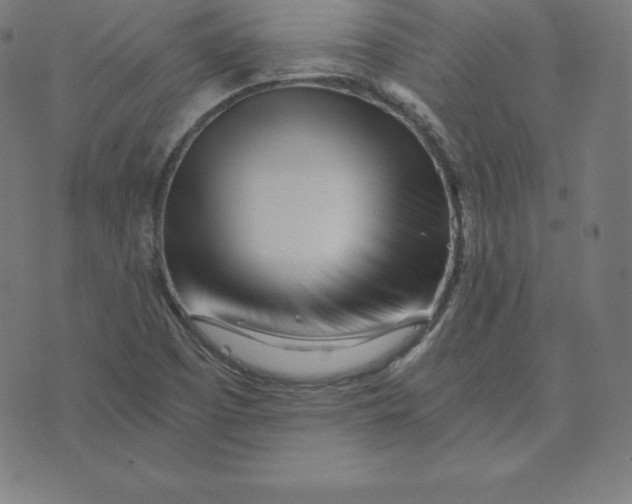 X0000073511457200608211728