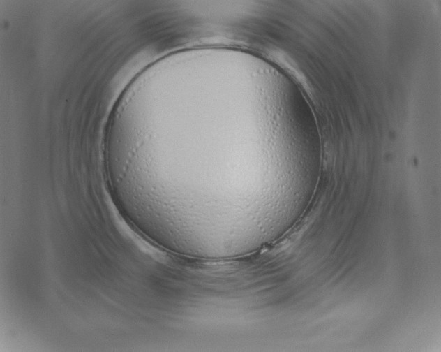 X0000073511483200608211727
