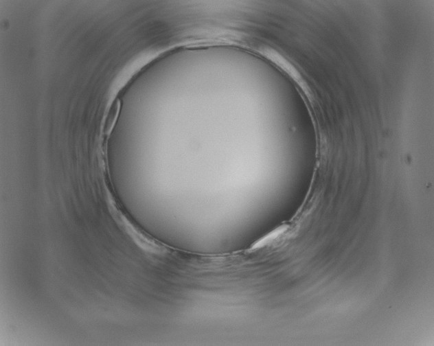 X0000073511485200608211727