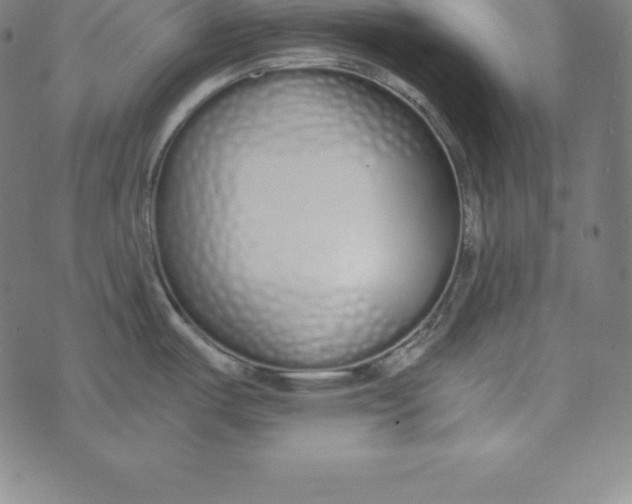 X0000073511487200608211727