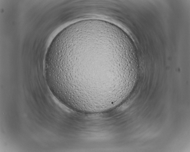 X0000073511535200608211727