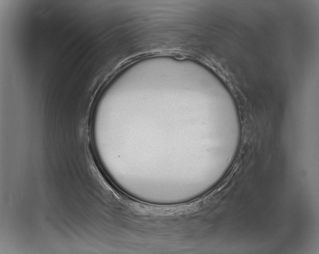 X0000073510002200608281719