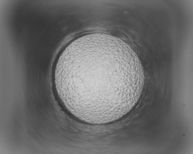 X0000073510006200608281719