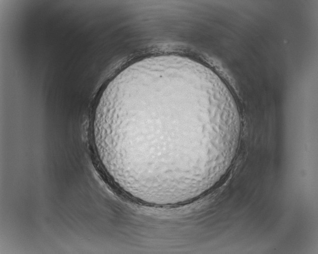 X0000073510010200608281719