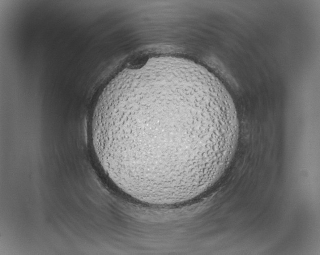 X0000073510014200608281719