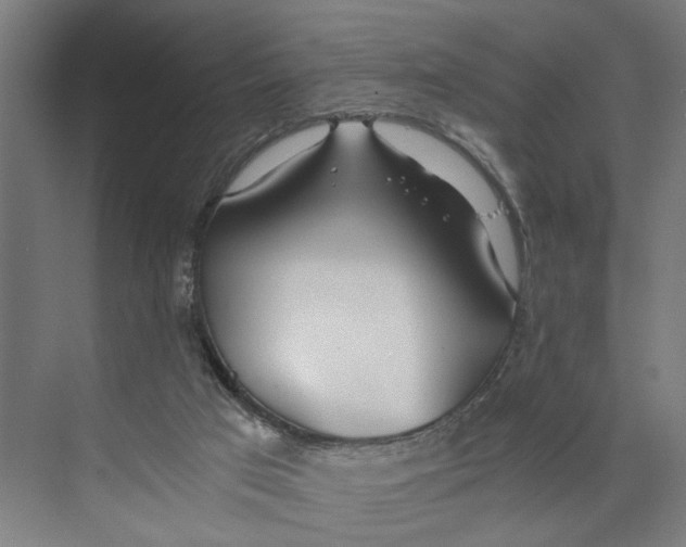X0000073510017200608281719