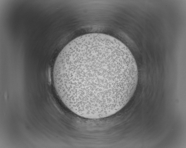 X0000073510022200608281719