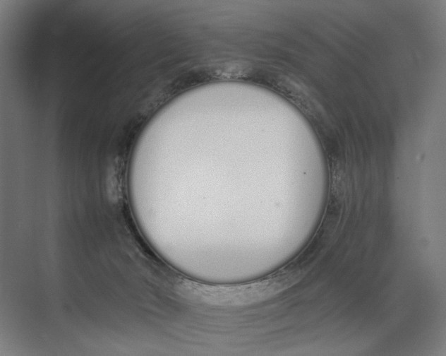 X0000073510030200608281719