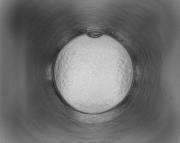 X0000073510034200608281719