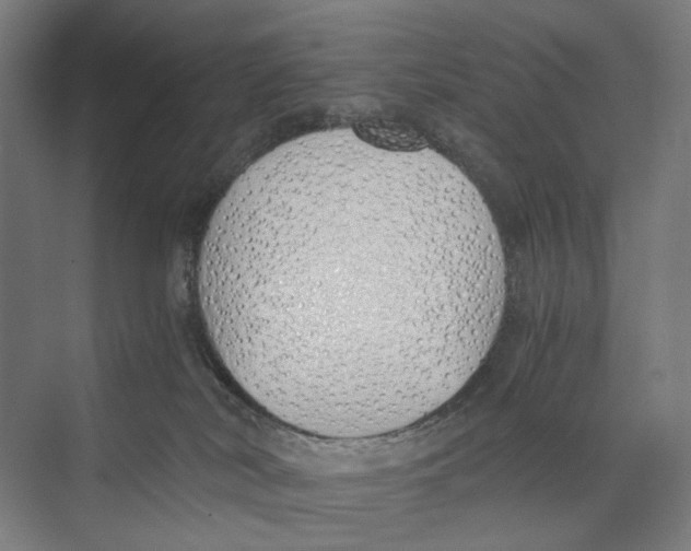 X0000073510038200608281718