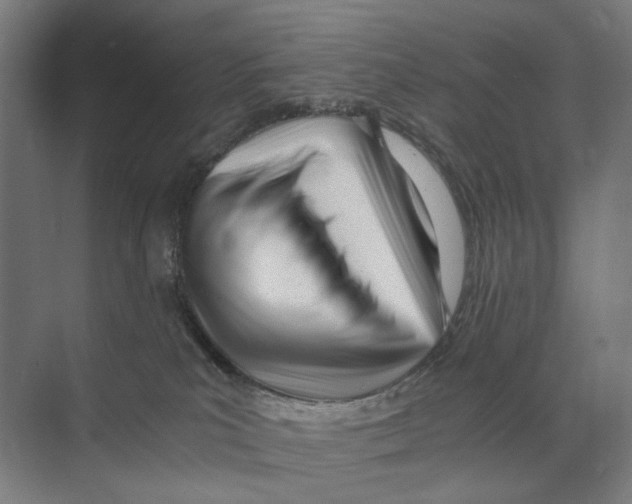 X0000073510039200608281718