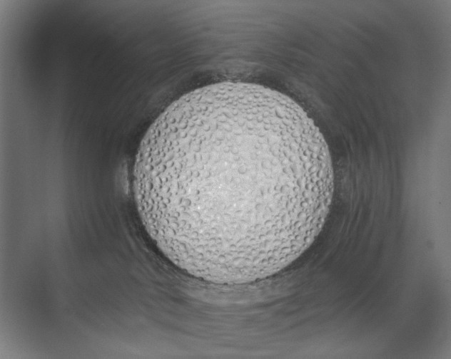 X0000073510042200608281718