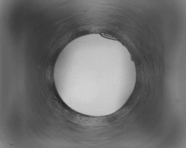 X0000073510044200608281718