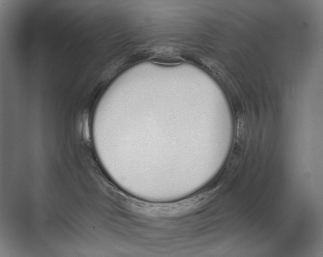 X0000073510046200608281718