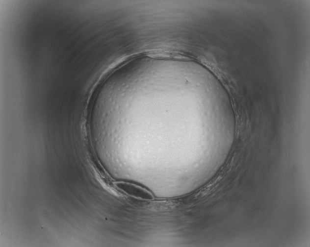 X0000073510050200608281718