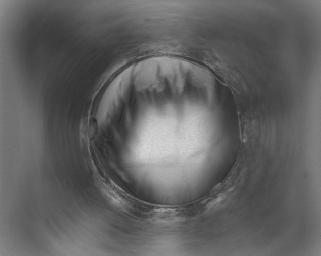 X0000073510052200608281718