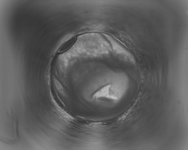 X0000073510054200608281718