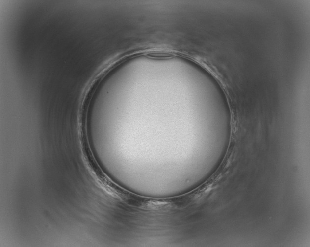 X0000073510055200608281718
