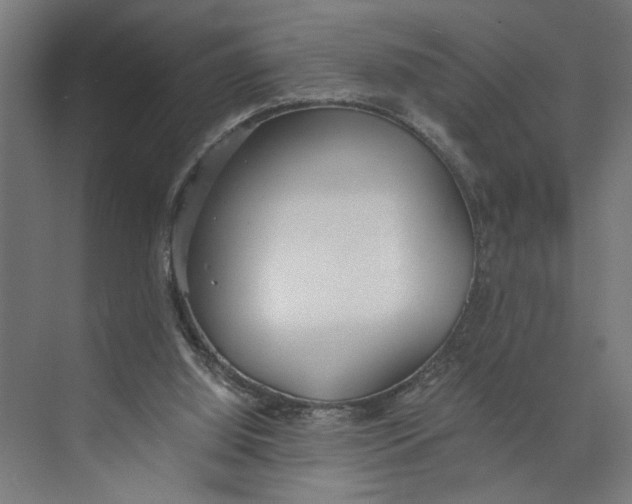 X0000073510060200608281718