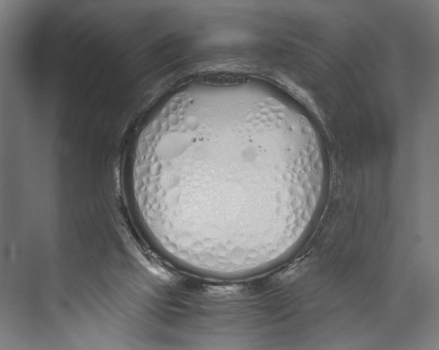 X0000073510061200608281718