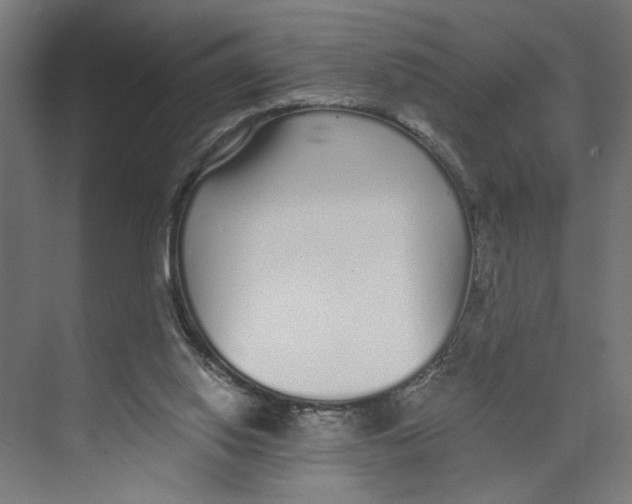 X0000073510062200608281718