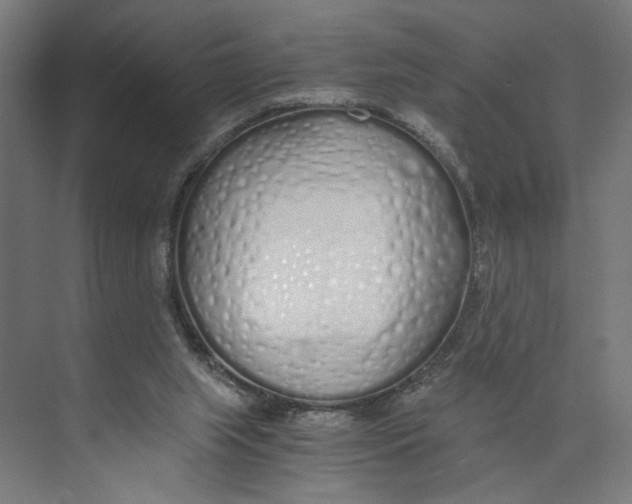 X0000073510063200608281718