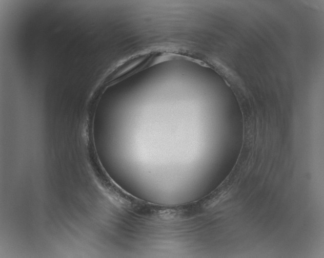 X0000073510064200608281718