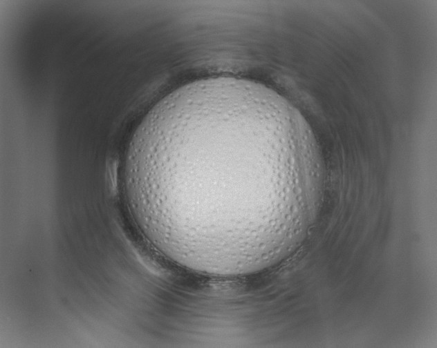 X0000073510070200608281718