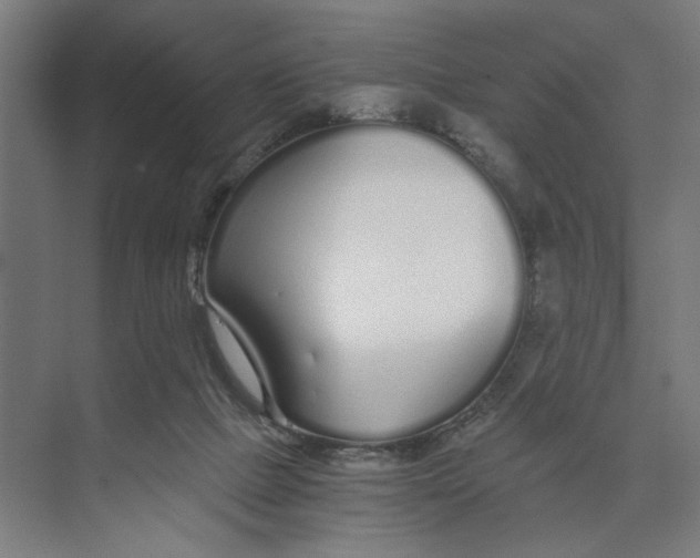 X0000073510073200608281718