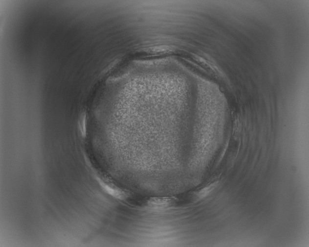 X0000073510076200608281718