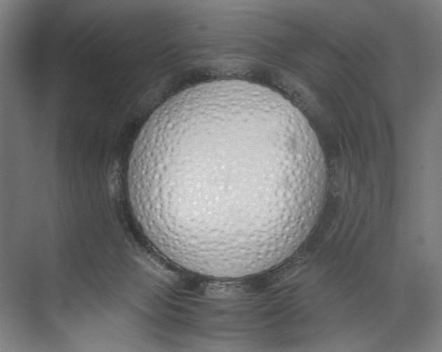 X0000073510077200608281718