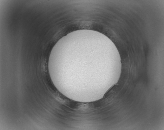 X0000073510083200608281718