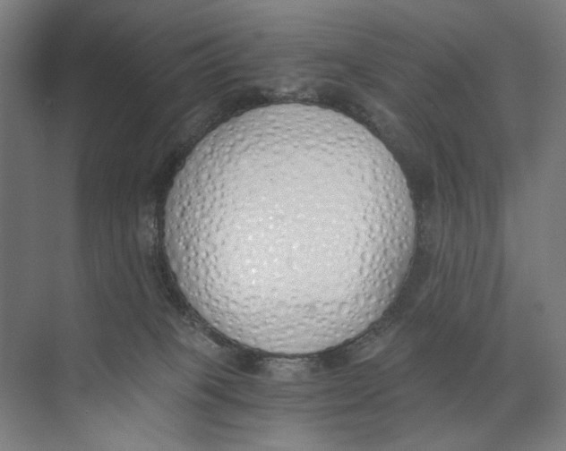 X0000073510085200608281718