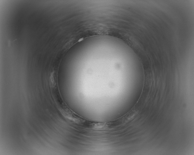 X0000073510088200608281718