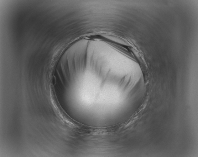 X0000073510097200608281717