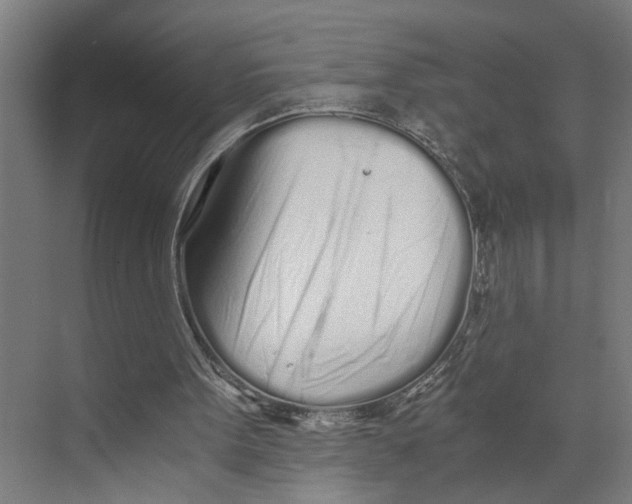 X0000073510099200608281717
