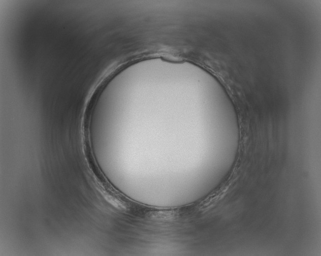 X0000073510102200608281717